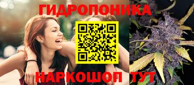 apvp Рязань